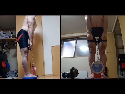 背筋力測定 267．5kg 背筋力を1.5倍に上げる方法 Back