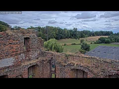 Eurasian Eagle-Owl Nest – Castle Ruin Live Camera 4 — Ahrtal, Rhineland-Palatinate live camera thumbnail