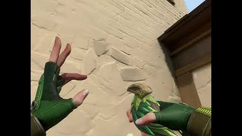 SKYE BUG Valorant HAVEN