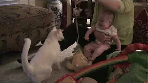 Ann Maxwell laughs at Little Bit and the ribbon