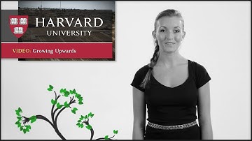 Growing Upwards - Innovation at Harvard