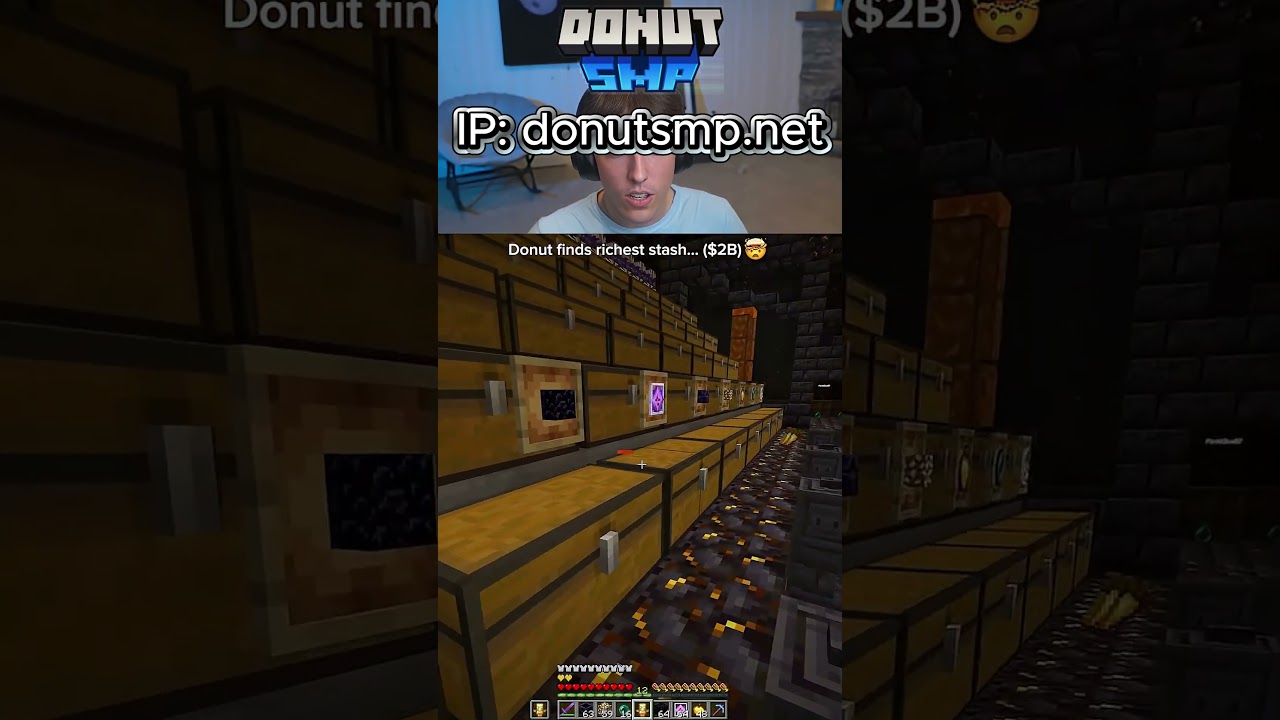 ip: donutsmp.net 