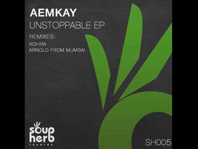Assista a 05 Aemkay   What You Want Arnold From Mumbai Most Wanted Remix no YouTube