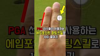 PGA선수들 퍼팅스킬 에임포인트 익스프레스