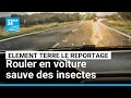 En France, les chercheurs appellent les automobilistes à les aider • FRANCE 24
