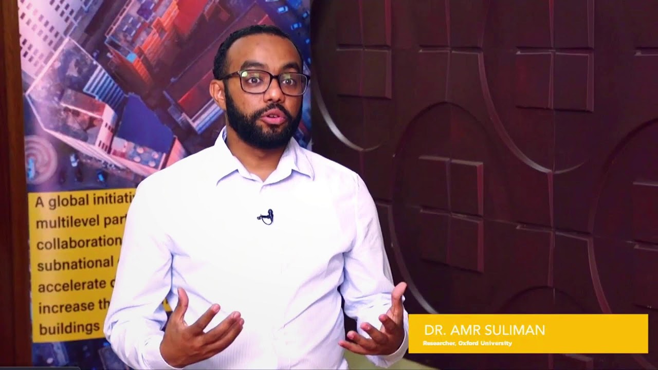 Multilevel Climate Buildings Roadmaps: Cross-Continental Implementation Insights for Buildings