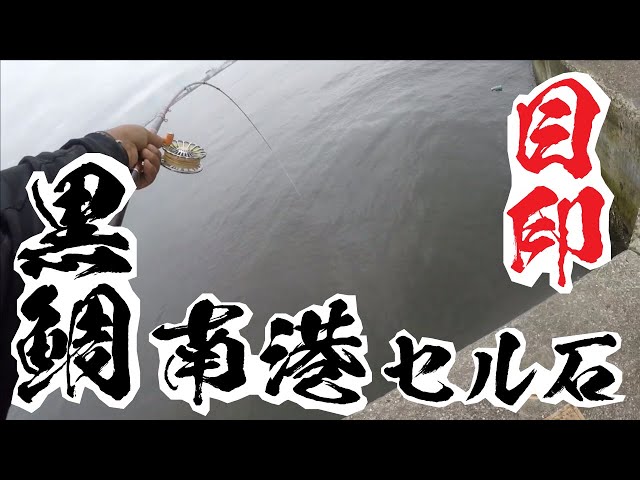 ローレルの釣りハマってますの人気動画 Youtubeランキング