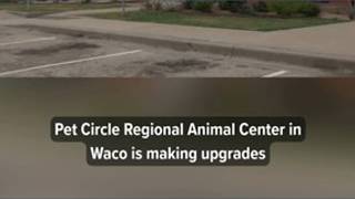 Community asked to foster dogs as Waco Pet Circle undergoes repairs