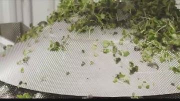 Aerofarms Grand Opening