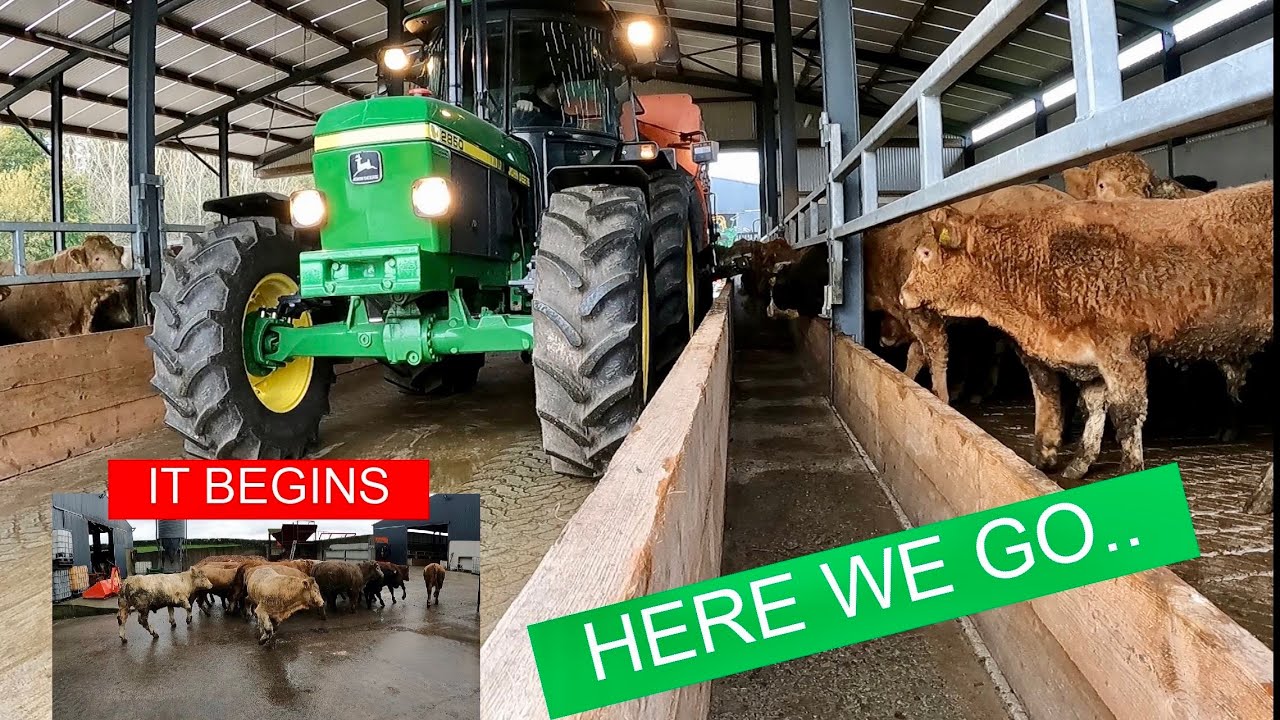 SORTING AND MOVING STOCK, CATTLE WORK BEGINS AND OTHER STUFF YouTube