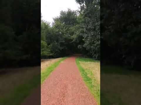 فيروز الصباح من غابات هولندا ضوى الهوى قناديله فيروز