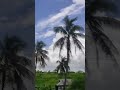 Standing still #shorts #shortsvideo #nature #sky #clouds #white #journey #roadtrip #beautiful
