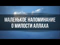 Маленькое напоминание о милости Аллаха || Ринат Абу Мухаммад