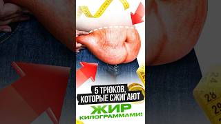 Как сжечь ЖИР? #николайпанасюк #похудение #каксжечьжир