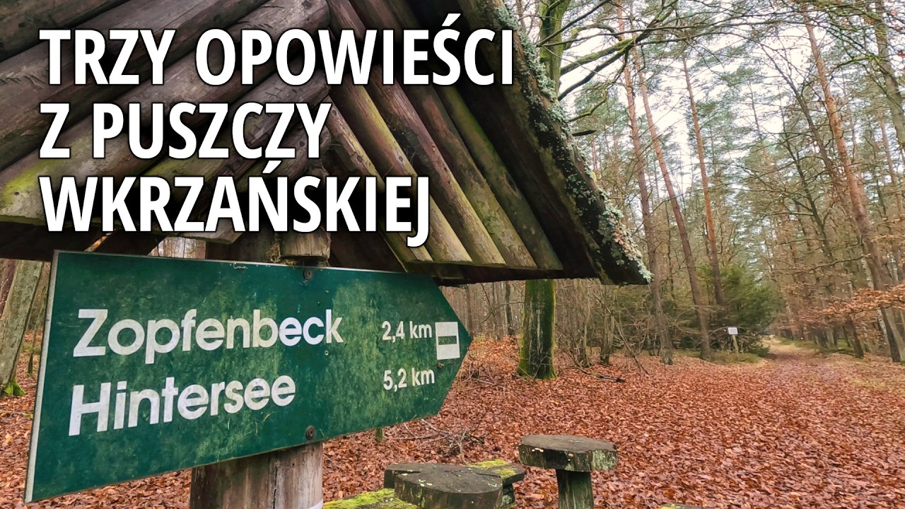 [Puszcza Wkrzańska] Trzy opowieści z Puszczy Wkrzańskiej