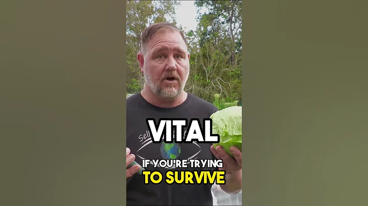 6 TOP Crops to Grow to Save You From STARVING!