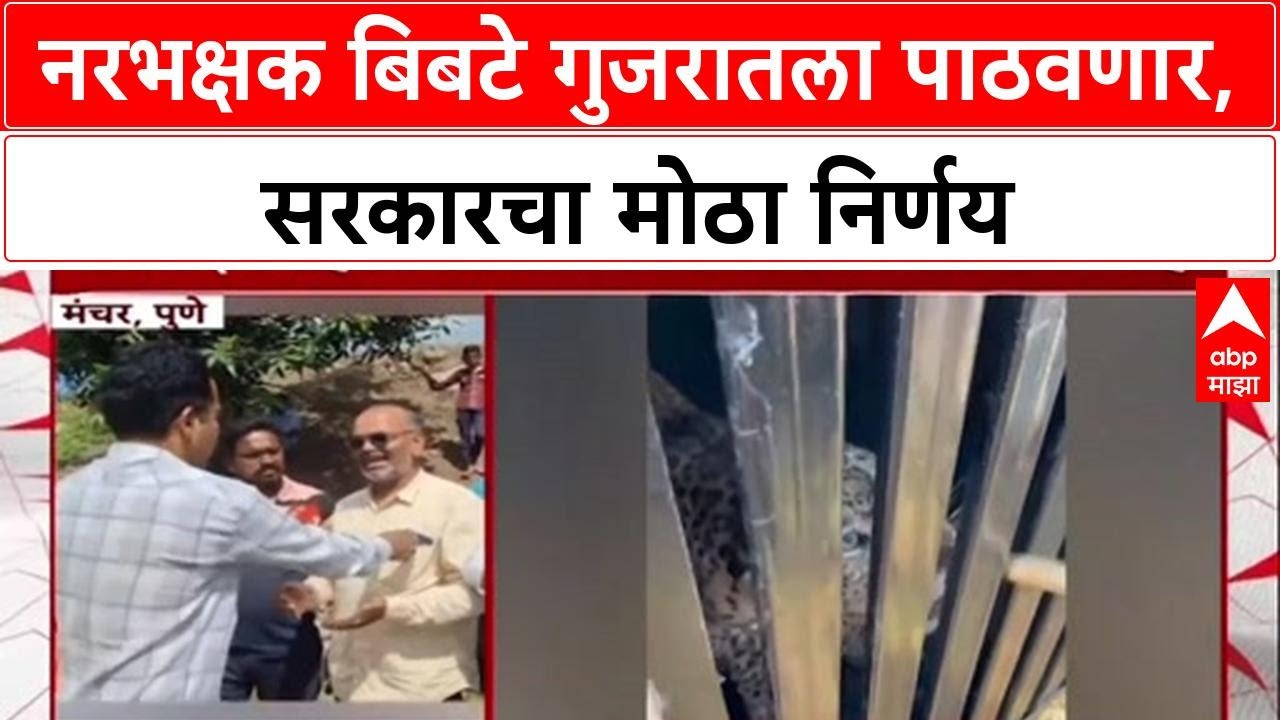 Leopard Conflict: 'नरभक्षक बिबटे Gujarat च्या Vantara मध्ये पाठवणार', वनमंत्री गणेश नाईक यांची घोषणा