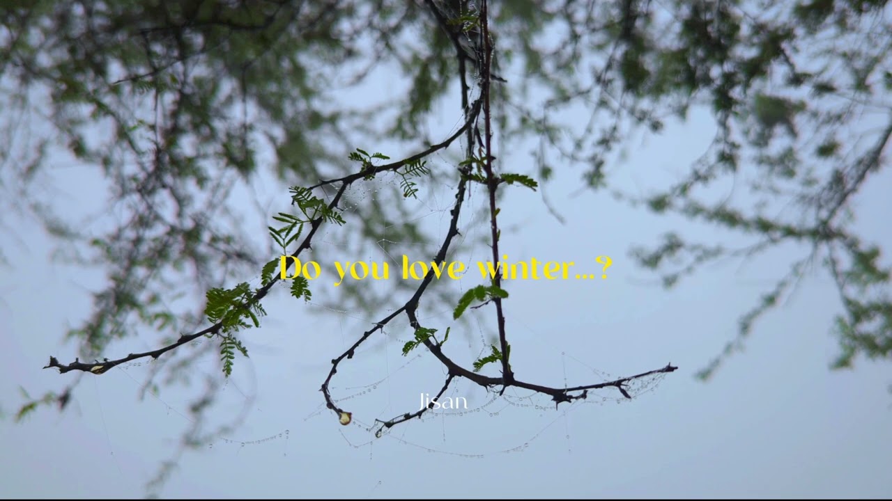 Winter cinematic video |