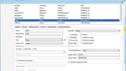 Week1Part3 Oracle ADF-Model Project for Business Logic-Entity object-View object-Application module