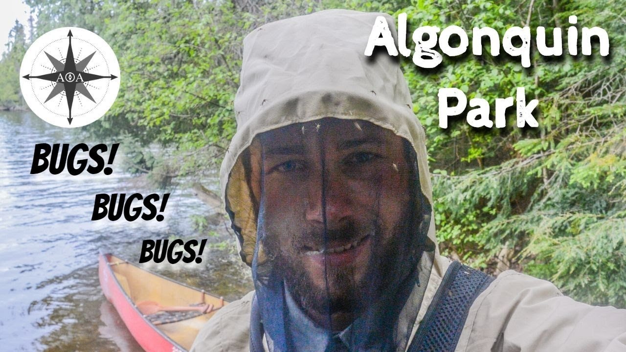 Algonquin Park BUG Season Solo Canoe Trip YouTube