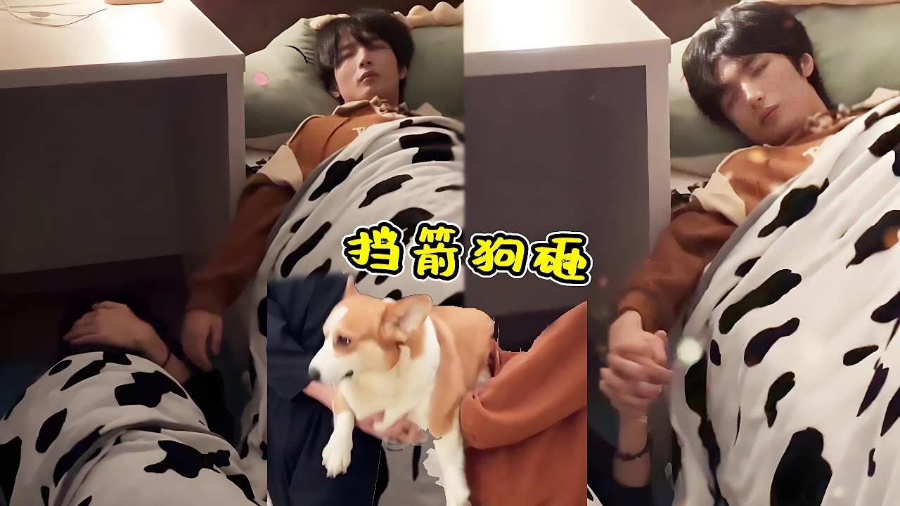 如何让吵架后的哥哥和好？看到最后我坚定的觉得他俩是故意吵架逗我玩，肯定是这样！【一航1】