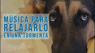 🐾  Música relajante para perros durante una tormenta 🎧  Perrhijos 🐶  musicoterapia. screenshot 5