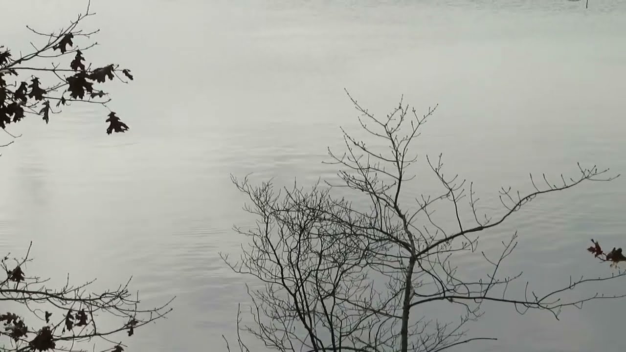 Refugio Patos Garzas
