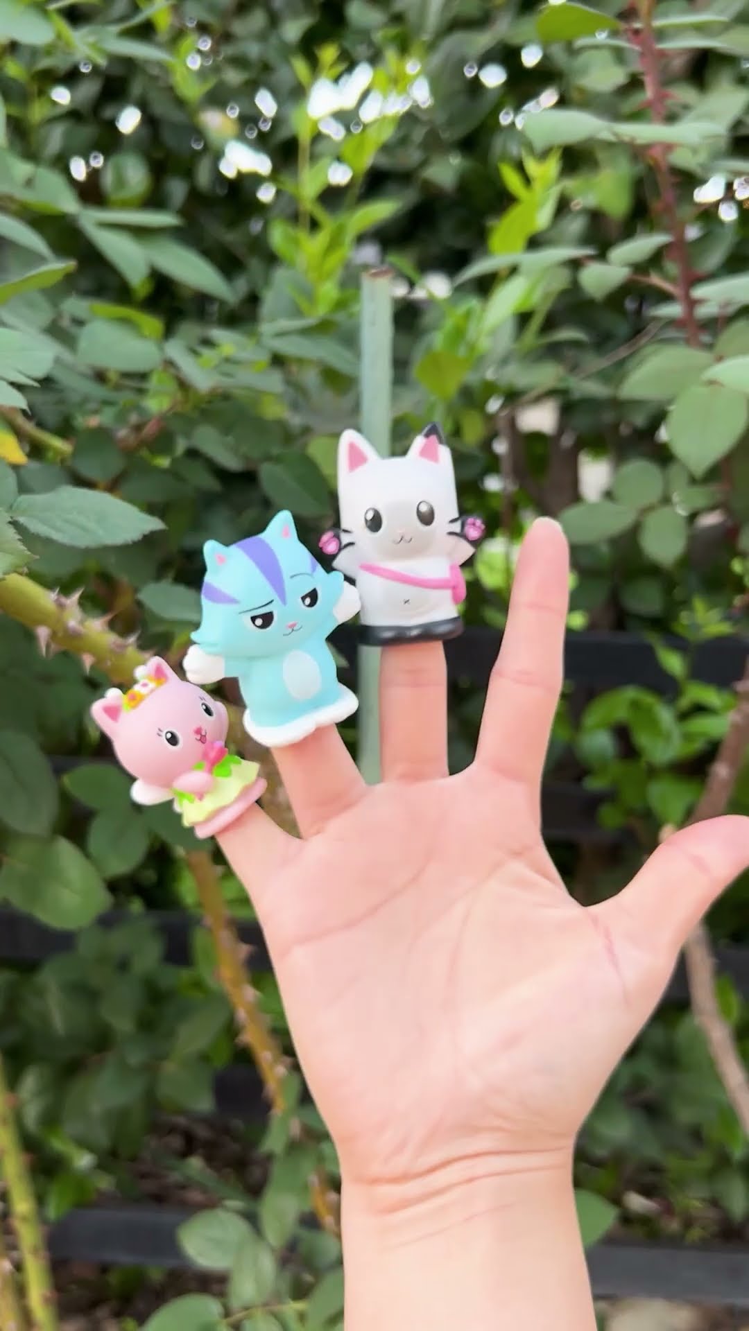 Where are the Gabby Cats? Nature Walk Scavenger Hunt! | GABBY'S