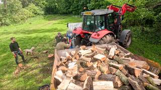 HOW MUCH FIREWOOD CAN WE FIND ON THE FARM? 🪵