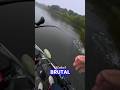 ikan apa banteng ‼️‼️ #viralvideo #shortvideo #mancing #belajarmancing