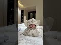 Người mẹ để con ở nhà 1 mình??? #beans #babyshorts #babygirl #viral