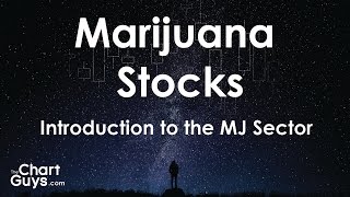 How to Trade Marijuana Stocks: Introduction to the Investing in the Marijuana Sector