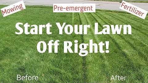 Beautiful Lawn In 2023: Pre-emergent, Mowing, and Fertilizer #diy #weedcontrol #lawn #fertilizer