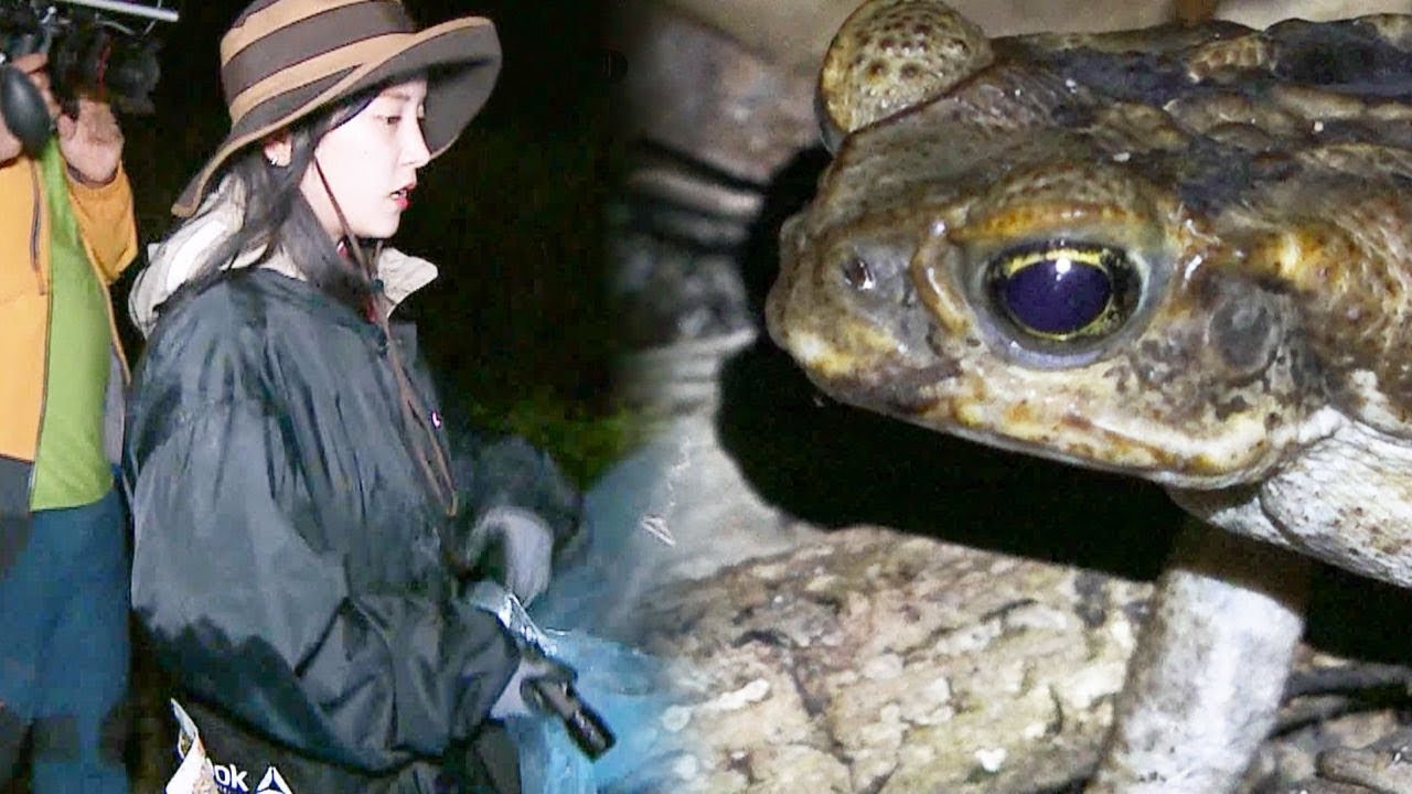 박초롱, 정글 두꺼비 등장에 성량 폭발 “오호호와!” @김병만의 정글의 법칙 289회 20171103