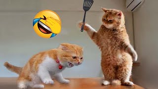 Funniest Animal Videos | Funny Cats And Dogs 2024 Part 3