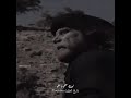 الزير سالم كليب كان عزنا يابني الزير سالم كليب كان عزنا يابني