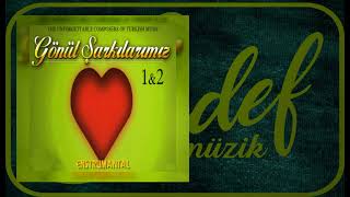 Gönül Şarkılarımız, Vol. 1 & 2 (Enstrümantal) - Erkilet Güzeli