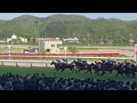 【現地】2023/04/22 G3 福島牝馬ステークス ステラリア 団野大成【福島競馬場】