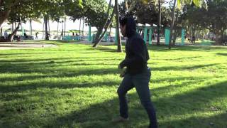 Daniel Graham "Flight"