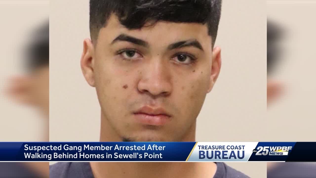 'If there's one, there's likely to be more': Tren de Aragua gang member ...