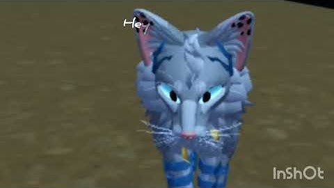 Wriggle short film,WCU:UE,gingersnaps back story,20 subs special