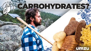 Carbs and Testosterone: How To Use Carbohydrates To Boost Testosterone Naturally