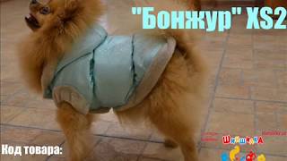 Жилет Pet Fashion Бонжур XS2 для собак разных цветов Жилет Pet Fashion Бонжур XS2 для собак разных цветов