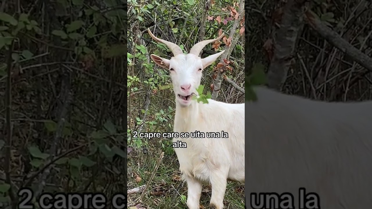 O zi ca oricare alta 😀