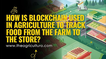 How is Blockchain used in agriculture to track food from the farm to the store?