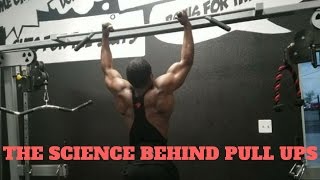 THE TRUTH ABOUT PULL UPS & CHIN UPS: Full Breakdown & Tutorial