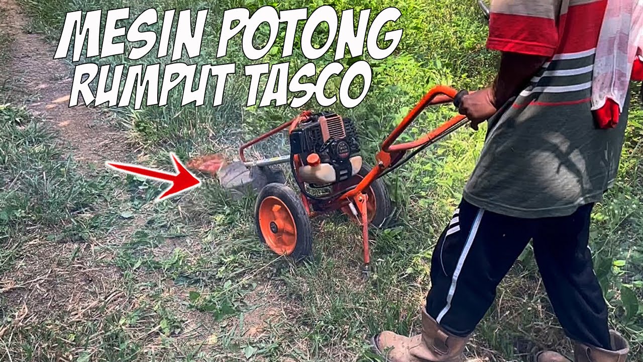 Mesin Potong Rumput Dorong Mantap | Dani Like 2