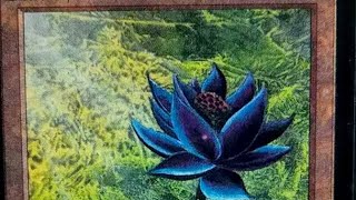 Alpha Black Lotus Auction