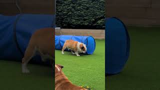 Do You Think Pablo Did This On Purpose