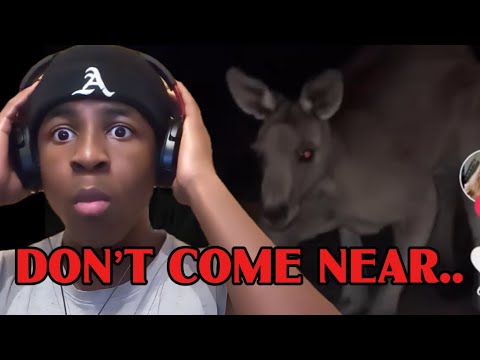 TikTok Stitches That Went TOO FAR… (You’ll Cry Laughing!) 😂 - YouTube